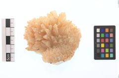 Foto von Calcit (NHMW-MIN-As455)